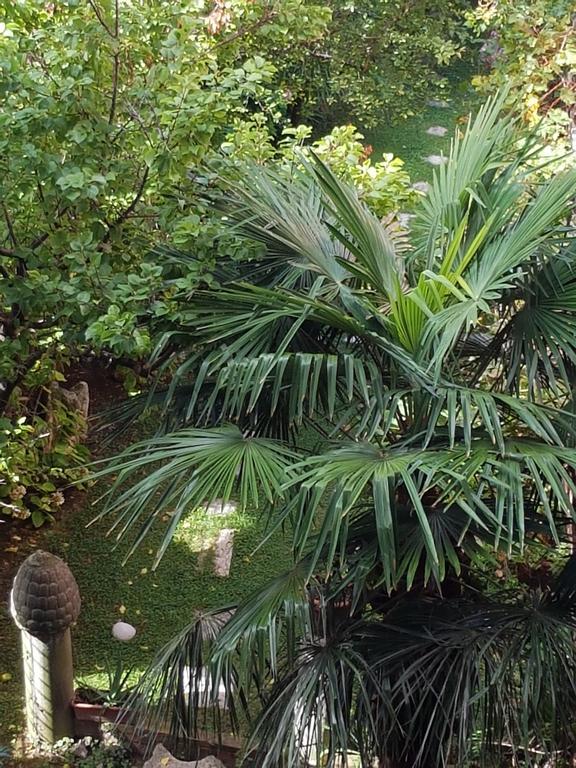 Appartamento Garden Ca' Rezzonico Venezia Eksteriør bilde
