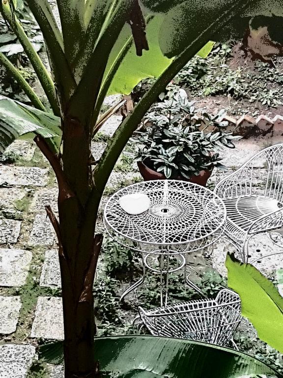 Appartamento Garden Ca' Rezzonico Venezia Eksteriør bilde